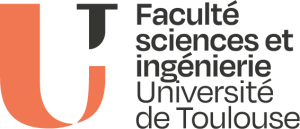 Logo-FSI
